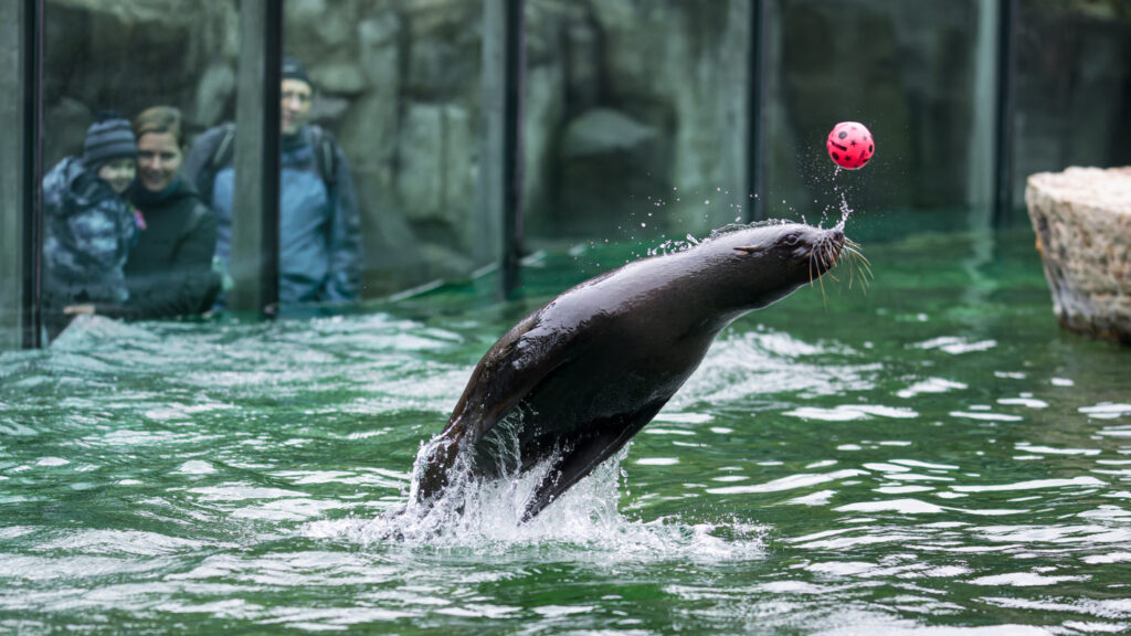 V Zoo Praha proběhlo tradiční udílení cen Richard v rámci výročního setkání sponzorů a adoptivních rodičů zvířat