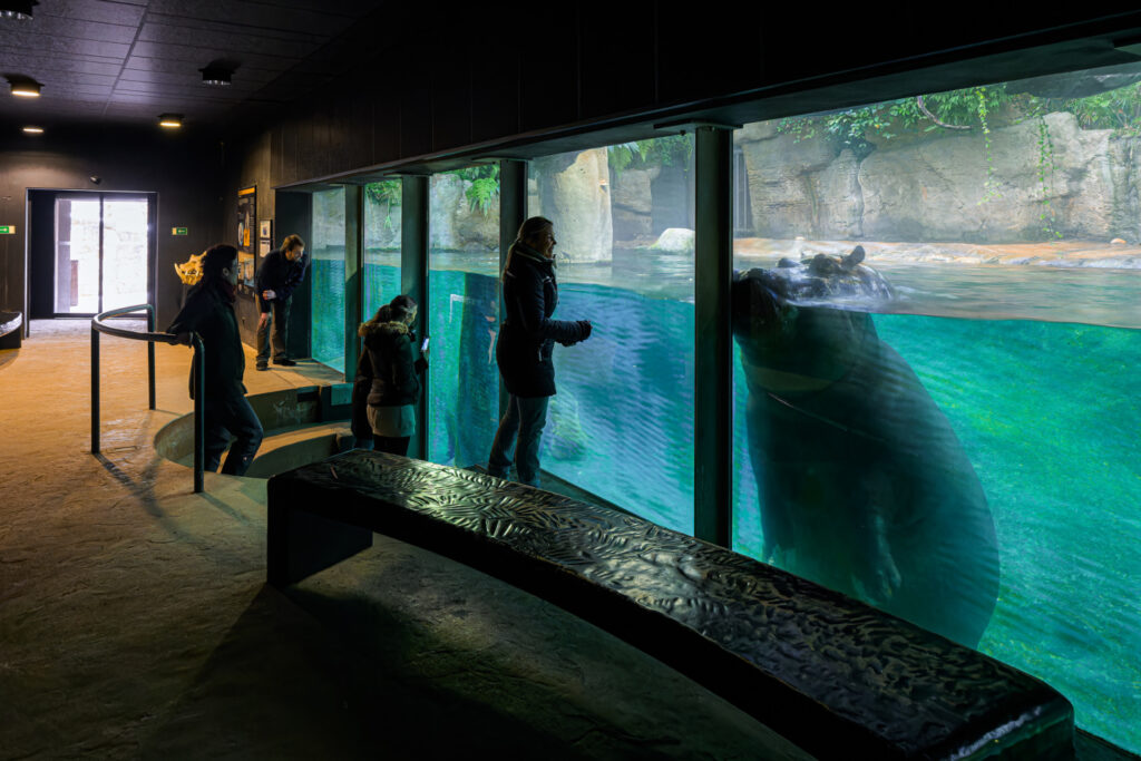 Vyměňte mrazy za tropy: Pražská ZOO zve na prohlídku do čtrnácti vyhřívaných pavilonů