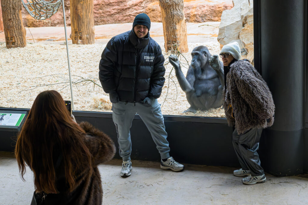 Vyměňte mrazy za tropy: Pražská ZOO zve na prohlídku do čtrnácti vyhřívaných pavilonů
