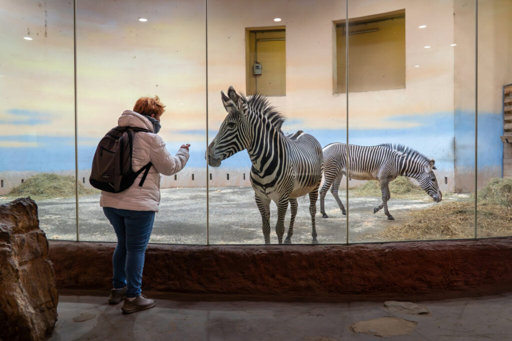 Vyměňte mrazy za tropy: Pražská ZOO zve na prohlídku do čtrnácti vyhřívaných pavilonů