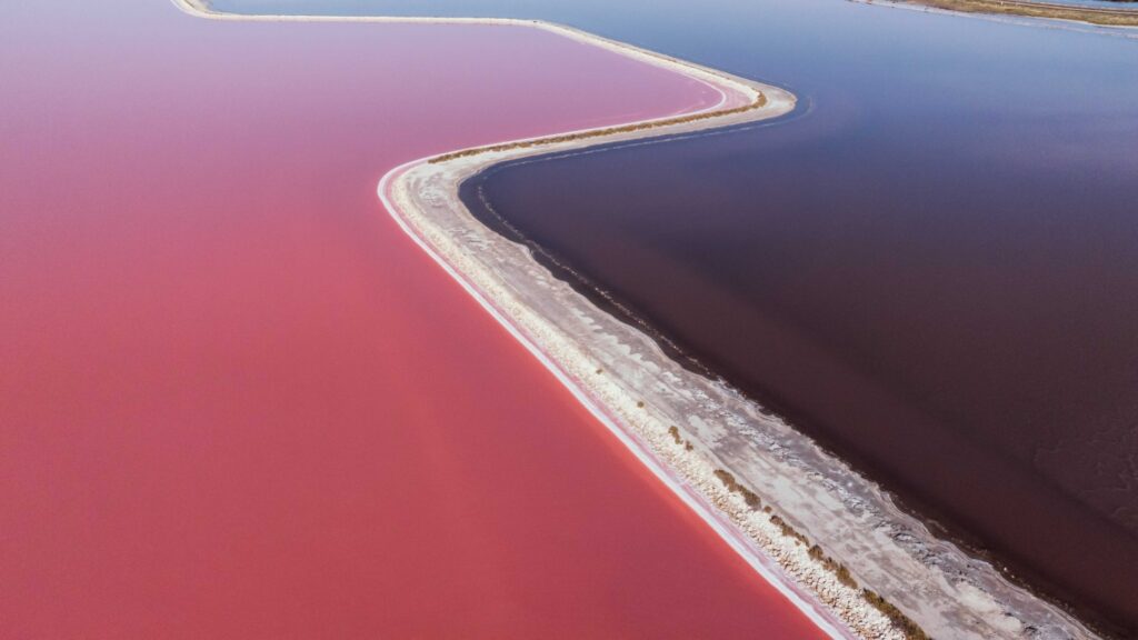 Limitovaná edice Monkey 47 Distiller’s Cut 2025 s mořskou solí z Camargue