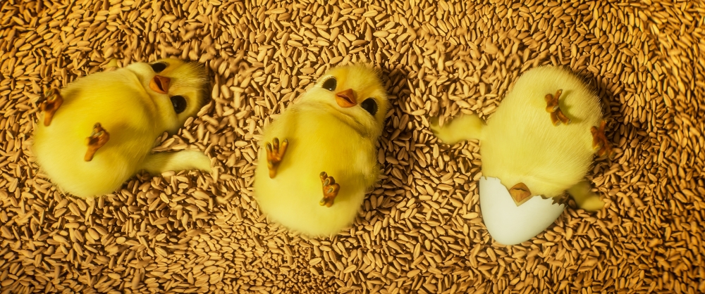 Do kin míří velkolepá animovaná satirická alegorická bajka Farma zvířat s českým dabingem