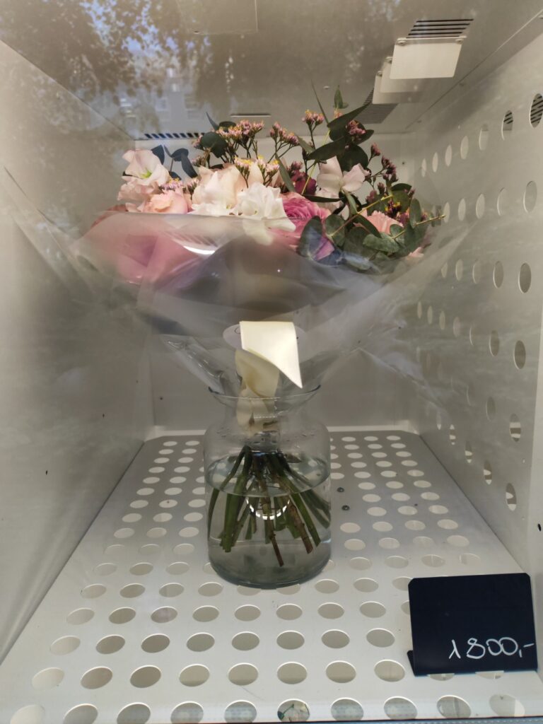 Kde v centru Prahy seženete nádherné květiny každý den až do půlnoci? Objevte Květinový automat Flowers Nairi Premium v zahradě Slovanského domu